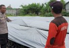 Polsek-Tulangan-Dampingi-Warga-Rawat-Tanaman-Cabai-di-Pekarangan-Rumah