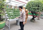 Bhabinkamtibmas-Tenggulunan-Polsek-Candi-Cek-Ketahanan-Pangan-Melalui-Program-Hidroponik-P2B