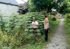 Bhabinkamtibmas-Desa-Kenongo-Koordinasi-Pengelolaan-Lahan-Bersama-Warga-untuk-Dukung-Ketahanan-Pangan