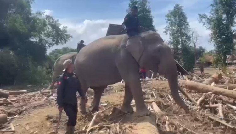 Sinergi Polri dan BKSDA : Gajah Dikerahkan Bersihkan Material Banjir di Pidie Jaya